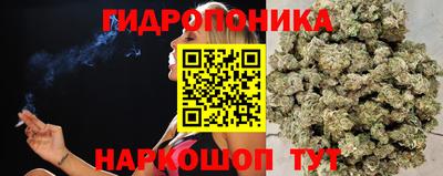 мяу мяу мука Тверь