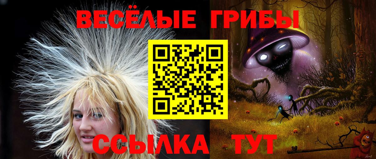 Галлюциногенные грибы Psilocybe Орехово-Зуево
