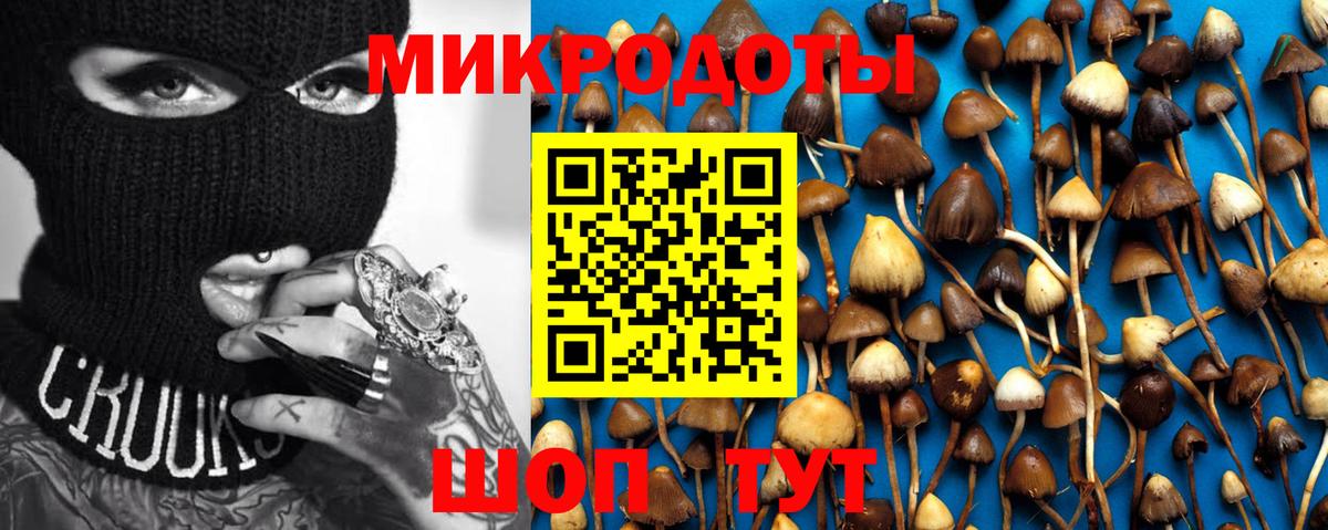 Орехово-Зуево  Галлюциногенные грибы Cubensis  Вход с VPN  Галлюциногенные грибы прущие грибы 